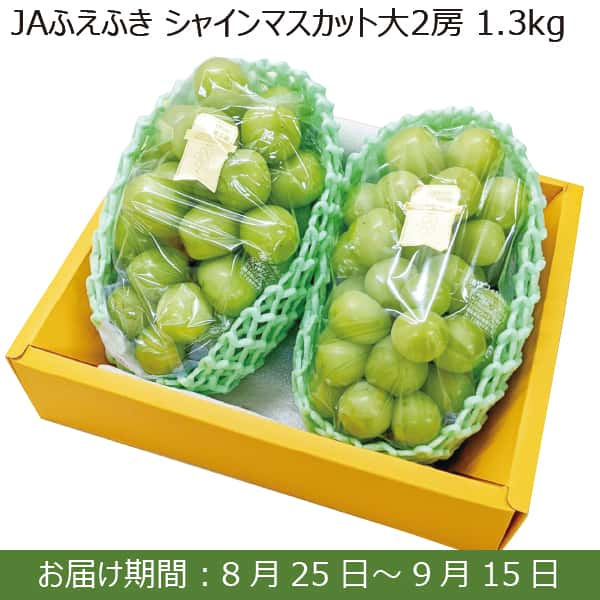 山梨県産 JAふえふき シャインマスカット大2房(1.3kg)【お届け期間：8月25日(日)〜9月15日(日)】【ふるさとの味・南関東】 | ぶどう  - イオンショップ