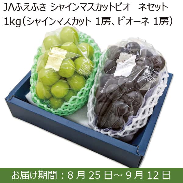 山梨県産 JAふえふき シャインマスカットピオーネセット 1kg(シャインマスカット1房、ピオーネ1房)【限定200箱】【お届け期間：8月25日(日)〜9月12日(木)】【ふるさとの味・南関東】  | ぶどう - イオンショップ