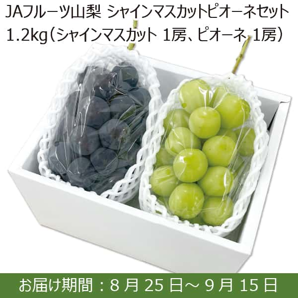 山梨県産 JAフルーツ山梨 シャインマスカットピオーネセット1.2kg(シャインマスカット1房、ピオーネ1房)【限定200箱】【お届け期間：8月25日(日)〜9月15日(日)】【ふるさとの味・南関東】　商品画像1