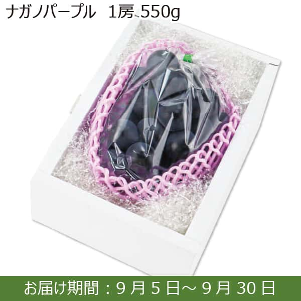 長野県産 ナガノパープル1房(550g)【限定200箱】【お届け期間：9月5日(木)〜9月30日(月)】【ふるさとの味・南関東】　商品画像1