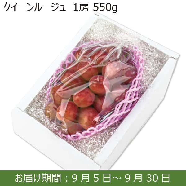 長野県産 クイーンルージュ1房(550g)【限定30箱】【お届け期間：9月5日(木)〜9月30日(月)】【ふるさとの味・南関東】　商品画像1