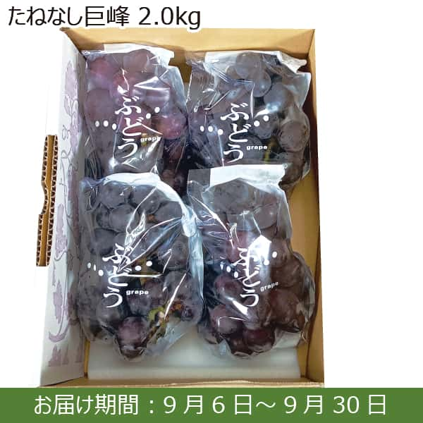 福島県産 たねなし巨峰 2kg(4房)【限定100箱】【お届け期間：9月6日(金)〜9月30日(月)】【ふるさとの味・南関東】 | ぶどう -  イオンショップ