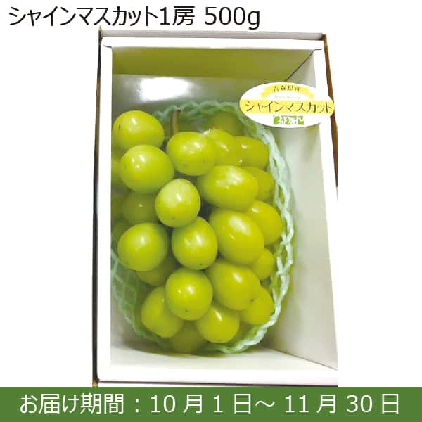 青森県産 シャインマスカット1房(500g)【お届け期間：10月1日(火)〜11月30日(土)】【ふるさとの味・南関東】　商品画像1