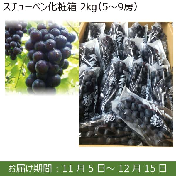 青森県産 スチューベン 2kg(5〜9房)【お届け期間：11月5日(火)〜12月15日(日)】【ふるさとの味・南関東】　商品画像1