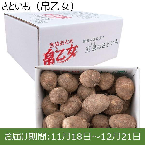 新潟県産 さといも(帛乙女)1.8kg箱 2Lサイズ【お届け期間 11／18〜12／21】【ふるさとの味・北陸信越】　商品画像1