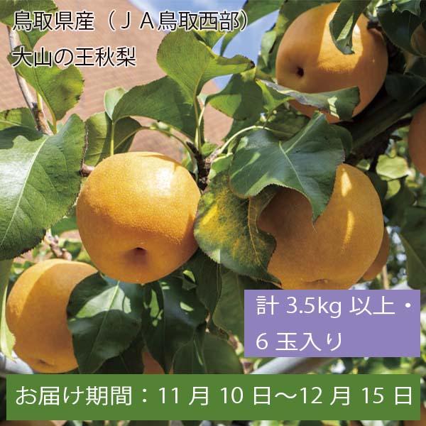 鳥取県産(JA鳥取西部)大山の王秋梨 計3.5kg以上・6玉入【お届け期間:11月10日〜12月15日】【ふるさとの味・中四国】　商品画像1