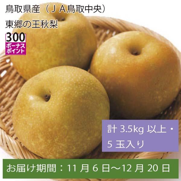 鳥取県産(JA鳥取中央) 東郷の王秋梨 計3.5kg以上・5玉入【お届け期間:11月6日〜12月20日】【ふるさとの味・中四国】　商品画像1