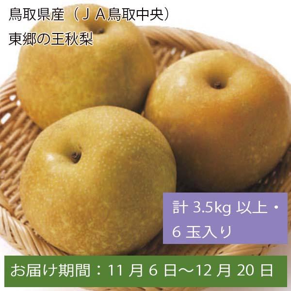 鳥取県産(JA鳥取中央) 東郷の王秋梨 計3.5kg以上・6玉入【お届け期間:11月6日〜12月20日】【ふるさとの味・中四国】　商品画像1