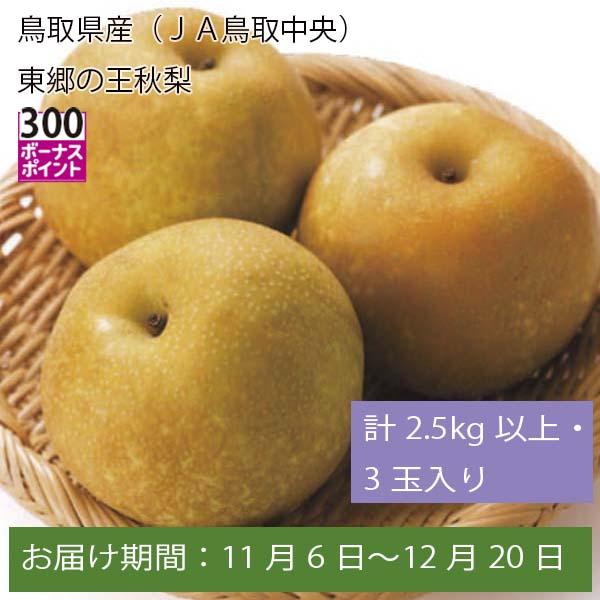 鳥取県産（ＪＡ鳥取中央）東郷の王秋梨計2.5Kg以上・３玉入り【お届け