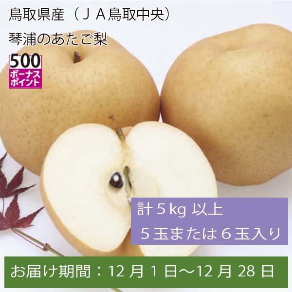 鳥取県産(JA鳥取中央) 琴浦のあたご梨 計5kg以上 5玉または6玉入【お届け期間:12月1日〜12月28日】【ふるさとの味・中四国】　商品画像1