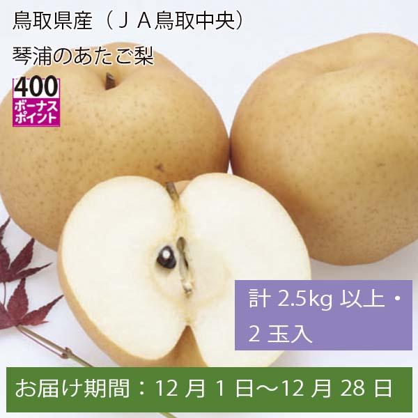 鳥取県産(JA鳥取中央) 琴浦のあたご梨 計2.5kg以上・2玉入【お届け期間:12月1日〜12月28日】【ふるさとの味・中四国】　商品画像1