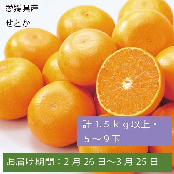 愛媛県産 せとか 計1.5kg以上・5〜9玉【お届け期間:2月26日〜3月25日】【ふるさとの味・中四国】　商品画像1