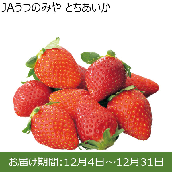 栃木県)JAうつのみや「とちあいか」(260gパック4パックセット)いちご