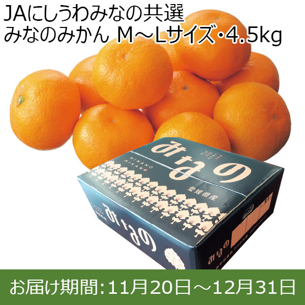 愛媛県 JAにしうわみなの共選 みなのみかん M〜Lサイズ・4.5kg【お届け期間：2024/11/20〜2024/12/31 】【ふるさとの味・北関東】　商品画像1