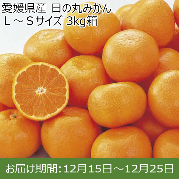 愛媛県産 日の丸みかん Ｌ〜Ｓサイズ 3kg箱【お届け期間：11月21日〜12