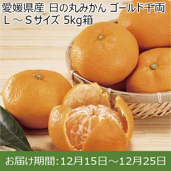 愛媛県産 日の丸みかん ゴールド千両 5kg箱 【お届け期間：12月15日〜12月25日】【ふるさとの味・中四国】　商品画像1