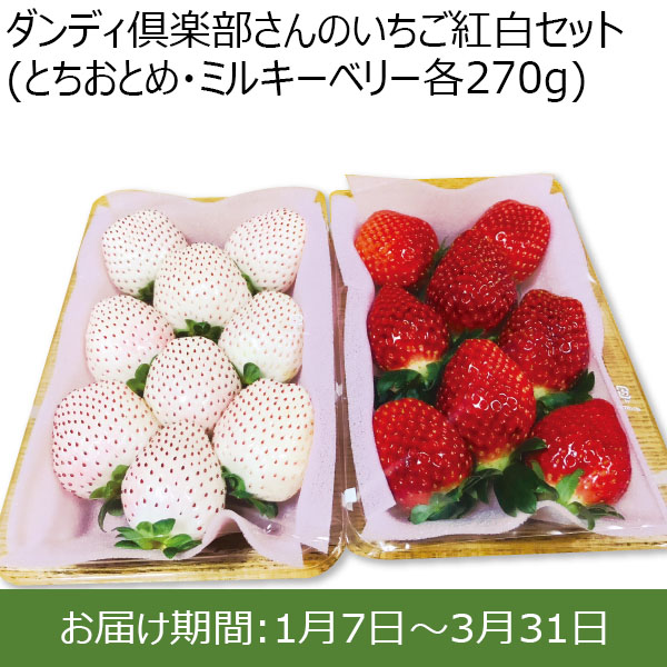 栃木県】栃木県真岡市地区 ダンディ倶楽部さんのいちご紅白セット