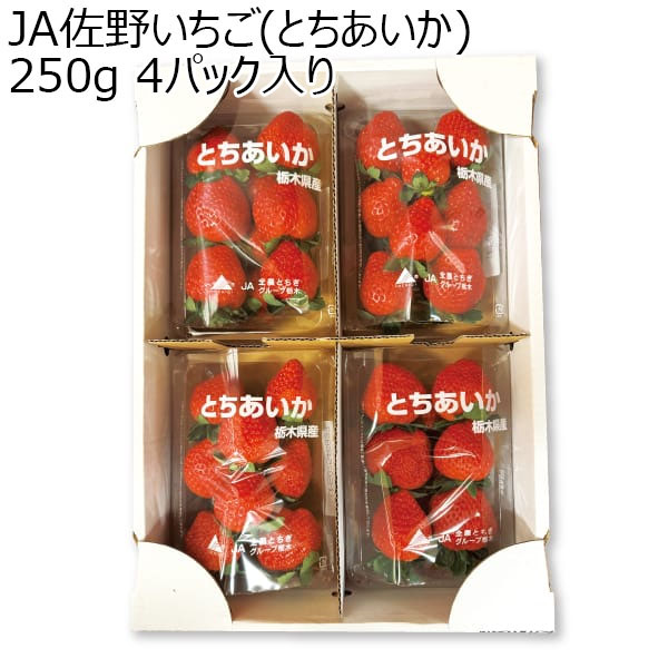 (栃木県)JA佐野いちご(とちあいか)250g 4パック入り【お届け期間2025/1/6-2025/2/28】【ふるさとの味・北関東】　商品画像1