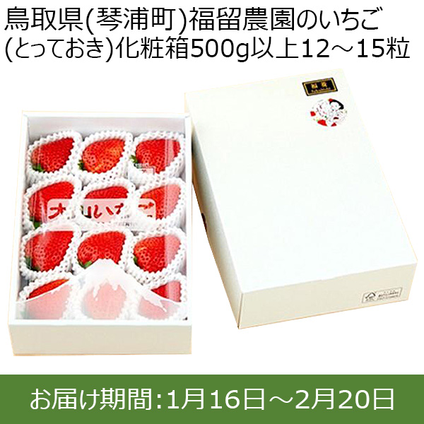 鳥取県(琴浦町)福留農園のいちご(とっておき)化粧箱500g以上 12〜15粒【お届け期間:1月16日〜2月20日】【ふるさとの味・中四国】　商品画像1