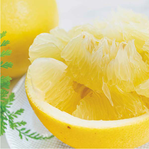 高知県産(土佐市) 露地ぶんたん(〇5kg) L〜2L5kg箱【お届け期間:3月5日〜3月31日】【NN】　商品画像1