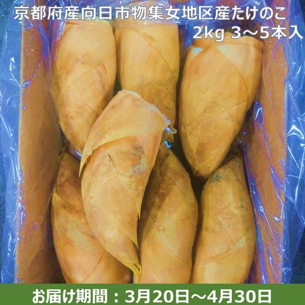 京都府産向日市物集女地区産 たけのこ 2kg【お届け期間：3月20日〜4月