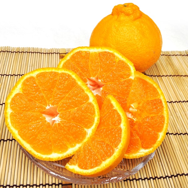 和歌山県産(JAわかやま ありだ地域本部)デコポン1.8kg 【お届け期間:2026年3月10日〜2026年3月25日】【NN】　商品画像1