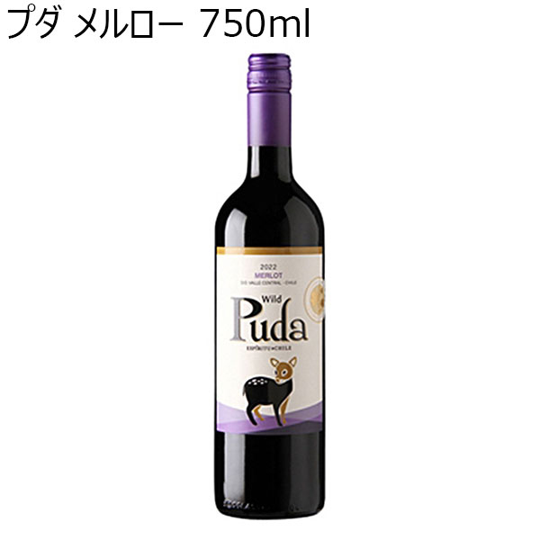 プダ メルロー 750ml【おいしいお取り寄せ】　商品画像1