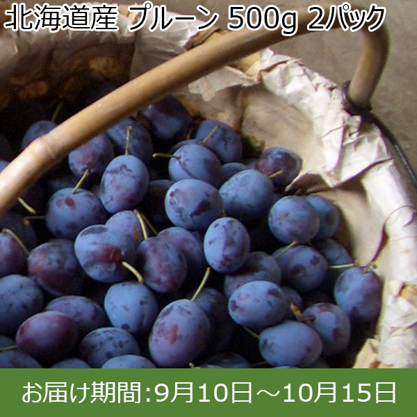 北海道産 プルーン 500g 2パック【限定500点】【お届け期間：9月10日〜10月15日】【イオンカード会員限定7月】　商品画像1