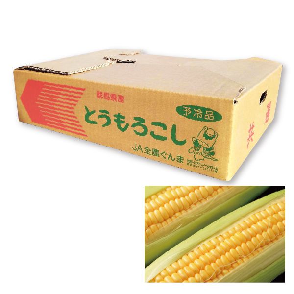 群馬県産JA太田市とうもろこし(ゴールドラッシュ)2Lサイズ・13本入り「お届け期間」2025/6/19〜2025/7/13【KN】 果物・野菜【季節の贈り物&ご褒美ギフト】 群馬県産JA太田市とうもろこし(ゴールドラッシュ)2Lサイズ・13本入り「お届け期間」2025/6/19〜2025/7/13【KN】 果物・野菜【季節の贈り物&ご褒美ギフト】