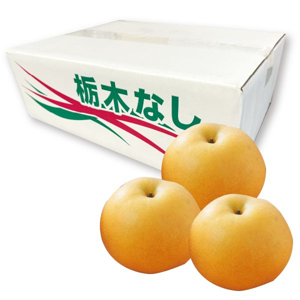 栃木県産JAうつのみや豊水梨4L・5kg・12玉「お届け期間」2025/9/9〜2025/9/30【KN】 果物・野菜【季節の贈り物&ご褒美ギフト】 栃木県産JAうつのみや豊水梨4L・5kg・12玉「お届け期間」2025/9/9〜2025/9/30【KN】 果物・野菜【季節の贈り物&ご褒美ギフト】