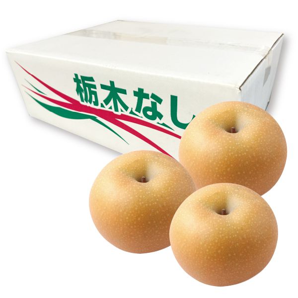 栃木県産JAうつのみやあきづき梨5L・5kg・10玉「お届け期間」2025/9/9〜2025/10/11【KN】 果物・野菜【季節の贈り物&ご褒美ギフト】 栃木県産JAうつのみやあきづき梨5L・5kg・10玉「お届け期間」2025/9/9〜2025/10/11【KN】 果物・野菜【季節の贈り物&ご褒美ギフト】