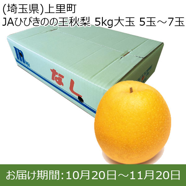 (埼玉県)上里町 JAひびきのの王秋梨 5kg大玉 5玉〜7玉【お届け期間10/20(日)〜11/20(水)】【ふるさとの味・北関東】　商品画像1