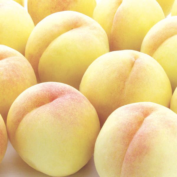 和歌山県産 あら川の桃(清水白桃)3.8kg入り(13個入り)(お届け期間:7月10日〜7月27日)【NN】 果物・野菜【季節の贈り物&ご褒美ギフト】 和歌山県産 あら川の桃(清水白桃)3.8kg入り(13個入り)(お届け期間:7月10日〜7月27日)【NN】 果物・野菜【季節の贈り物&ご褒美ギフト】