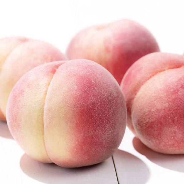 和歌山県産(〇長出荷組合)桃(生産者限定)1.7kg(3Lサイズ8個入り)(お届け期間:7月1日〜8月10日)【NN】 果物・野菜【季節の贈り物&ご褒美ギフト】 和歌山県産(〇長出荷組合)桃(生産者限定)1.7kg(3Lサイズ8個入り)(お届け期間:7月1日〜8月10日)【NN】 果物・野菜【季節の贈り物&ご褒美ギフト】