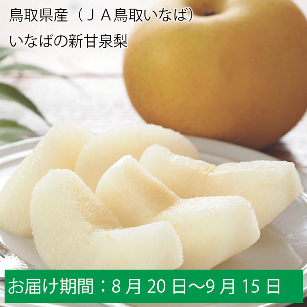 鳥取県産(JA鳥取いなば)いなばの新甘泉梨 青秀5kg2L16玉または3L14玉または4L12玉または5L10玉【お届け期間:8月20日〜9月15日】【ふるさとの味・中四国】  | 梨 - イオンショップ