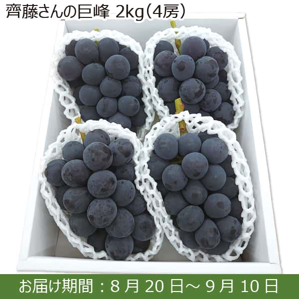 山梨県産 齊藤さんの巨峰 2kg(4房)【限定200箱】【お届け期間：8月20日(火)〜9月10日(火)】【ふるさとの味・南関東】 | ぶどう -  イオンショップ