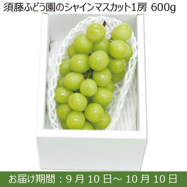 山形県南陽市産 須藤ふどう園のシャインマスカット 1房(600g)【お届け期間：9月10日(火)〜10月10日(木)】【ふるさとの味・南関東】　商品画像1