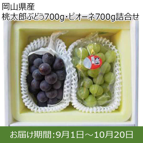 岡山県産 桃太郎ぶどう700g・ピオーネ700g詰め合せ 【お届け期間:9月1日〜10月20日】【ふるさとの味・中四国】　商品画像1