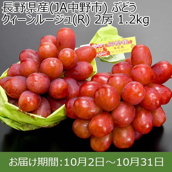 長野県産(JA中野市) ぶどう クィーンルージュ(R) 2房 1.2kg【お届け期間：10月2日〜10月31日】【イオンカード会員限定9月】　商品画像1