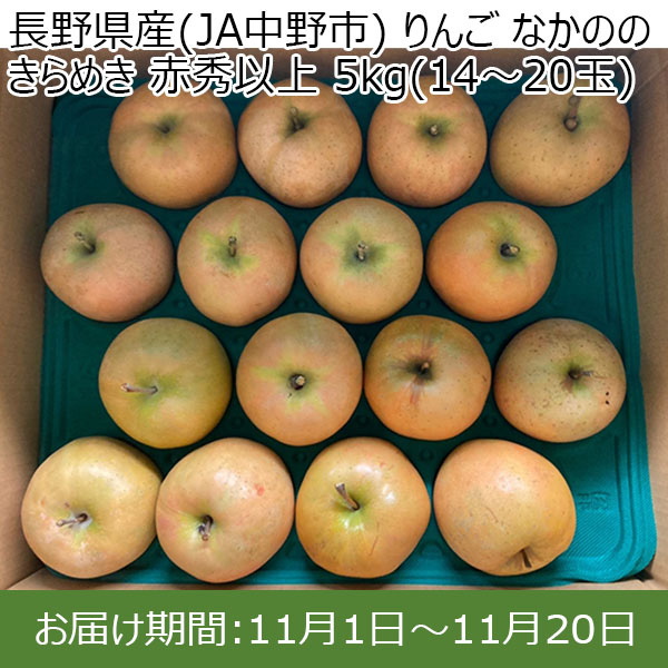 長野県産(JA中野市) りんご なかののきらめき 赤秀以上 5kg(14〜20玉)【限定30点】【お届け期間：11月1日〜11月20日】【イオンカード会員限定9月】　商品画像1