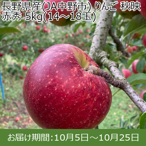 長野県産(JA中野市) りんご 秋映 赤秀 5kg(14〜18玉)【お届け期間：10月5日〜10月25日】【イオンカード会員限定9月】　商品画像1