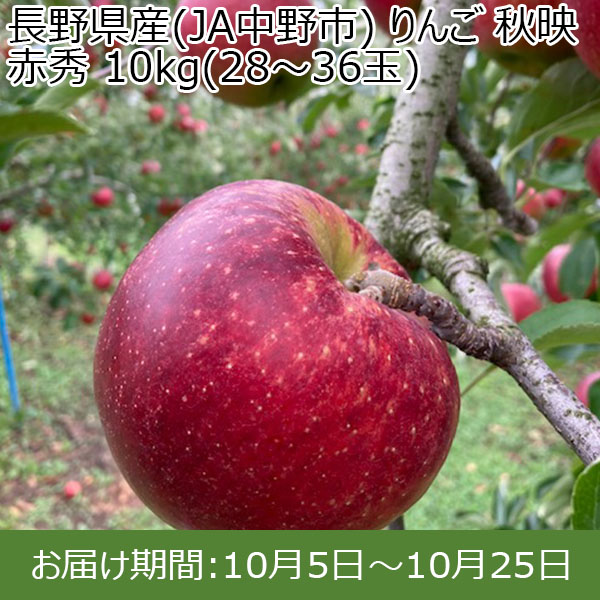 長野県産(JA中野市) りんご 秋映 赤秀 10kg(28〜36玉)【お届け期間：10月5日〜10月25日】【イオンカード会員限定9月】　商品画像1