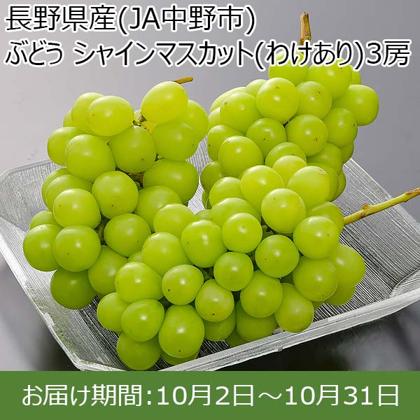 長野県産(JA中野市) ぶどう シャインマスカット(わけあり)3房(1.3kg以上)【限定200点】【お届け期間：10月2日〜10月31日 】【お買い得セール8月】 | ぶどう - イオンショップ