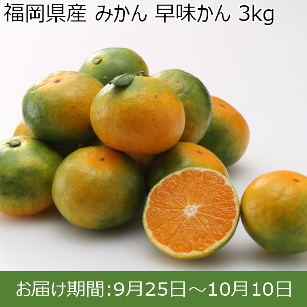 福岡県産 みかん 早味かん 3kg【お届け期間：9月25日〜10月10日】【おいしいお取り寄せ】　商品画像1