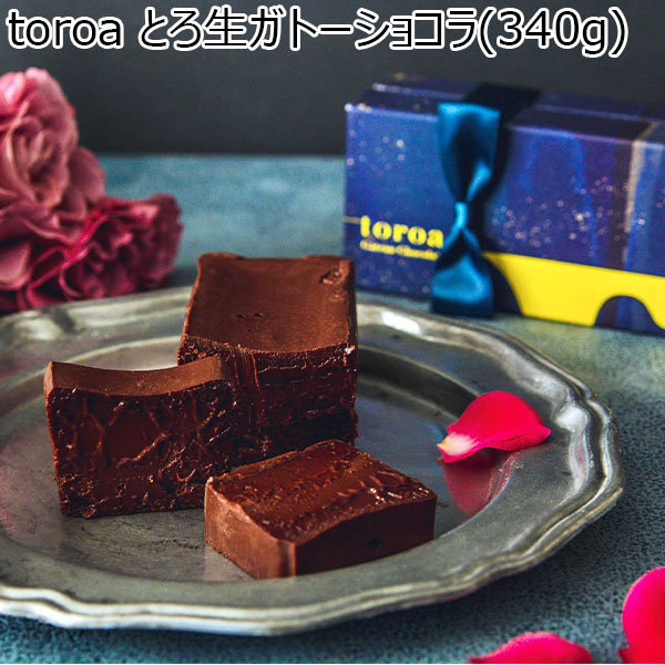 toroa とろ生ガトーショコラ(340g)【お届け期間:10月2日〜10月10日】【北海道フェア】【おいしいお取り寄せ】　商品画像1