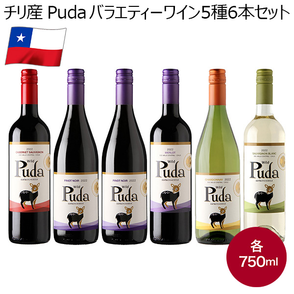 チリ産 Puda バラエティーワイン5種6本セット(各750ml)【おいしいお取り寄せ】　商品画像1