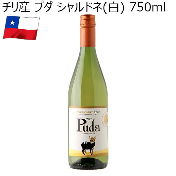 チリ産 プダ シャルドネ(白) 750ml 【おいしいお取り寄せ】　商品画像1