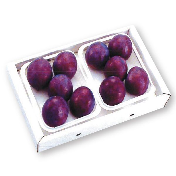 山形県産 大玉プルーン 5〜6玉入×2パック【お届け期間】2025/9/15‐2025/10/20【KN】 果物・野菜【季節の贈り物&ご褒美ギフト】 山形県産 大玉プルーン 5〜6玉入×2パック【お届け期間】2025/9/15‐2025/10/20【KN】 果物・野菜【季節の贈り物&ご褒美ギフト】