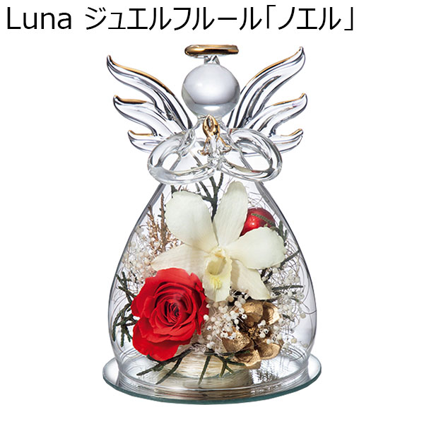 Luna ジュエルフルール「ノエル」(お届け期間：12月1日〜12月23日)【イオンのクリスマス】　商品画像1