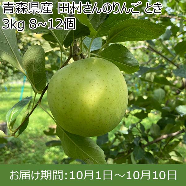 青森県産 田村さんのりんご とき 3kg 8~12個【限定30点】【お届け期間：10月1日〜10月10日】【お買い得セール9月】　商品画像1